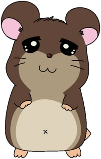 bear from hamtaro